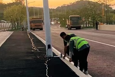 特准码资料大全